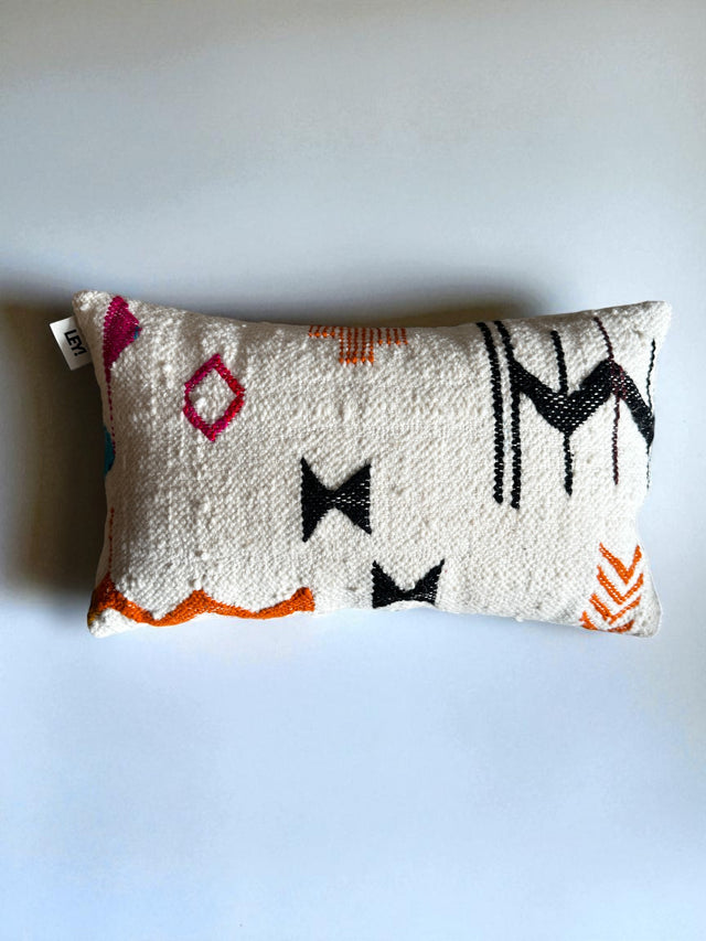 Kissen - Colorful Line - 30 x 50