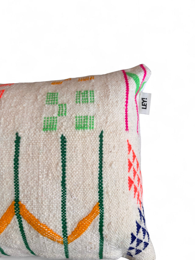 Kissen - Colorful Line - 40 x 60