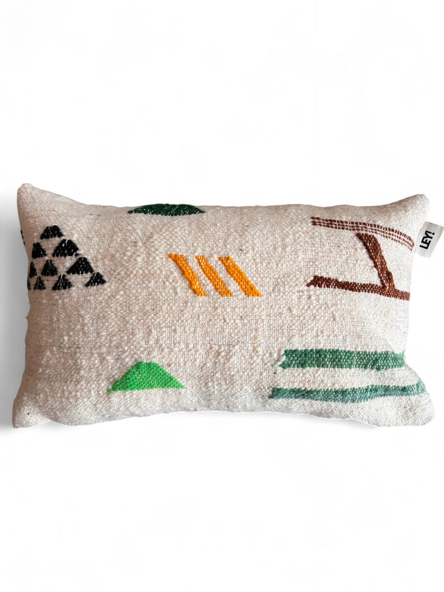 Kissen - Colorful Line - 30 x 50