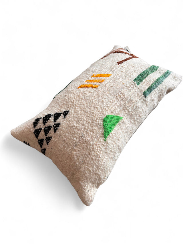 Kissen - Colorful Line - 30 x 50