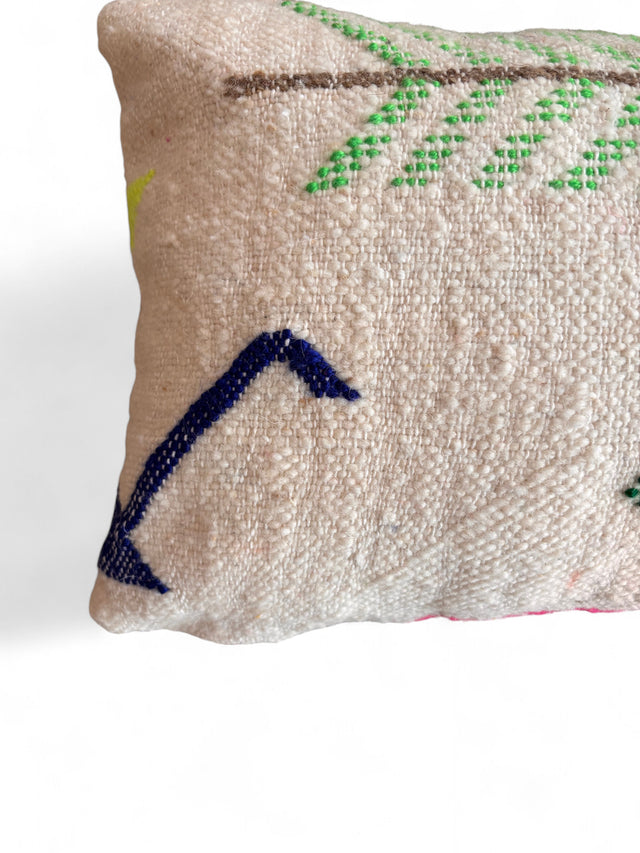 Kissen - Colorful Line - 30 x 50