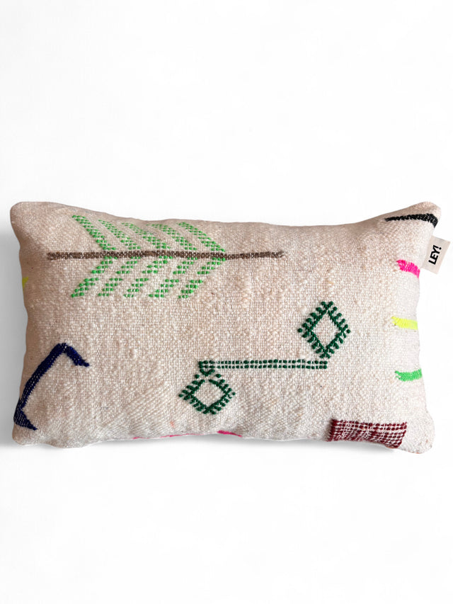 Kissen - Colorful Line - 30 x 50