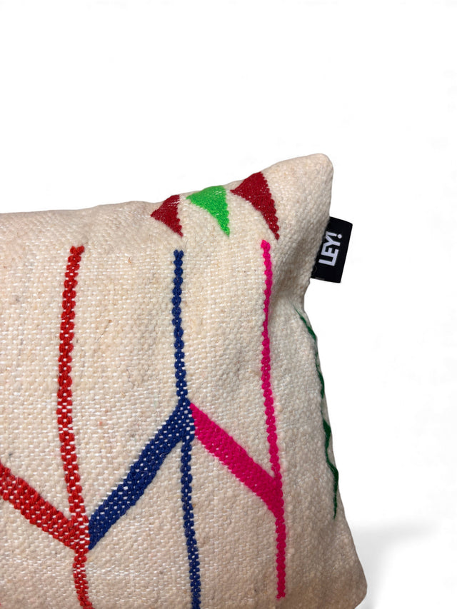 LEY! Kissen - Colorful Line - 30 x 50