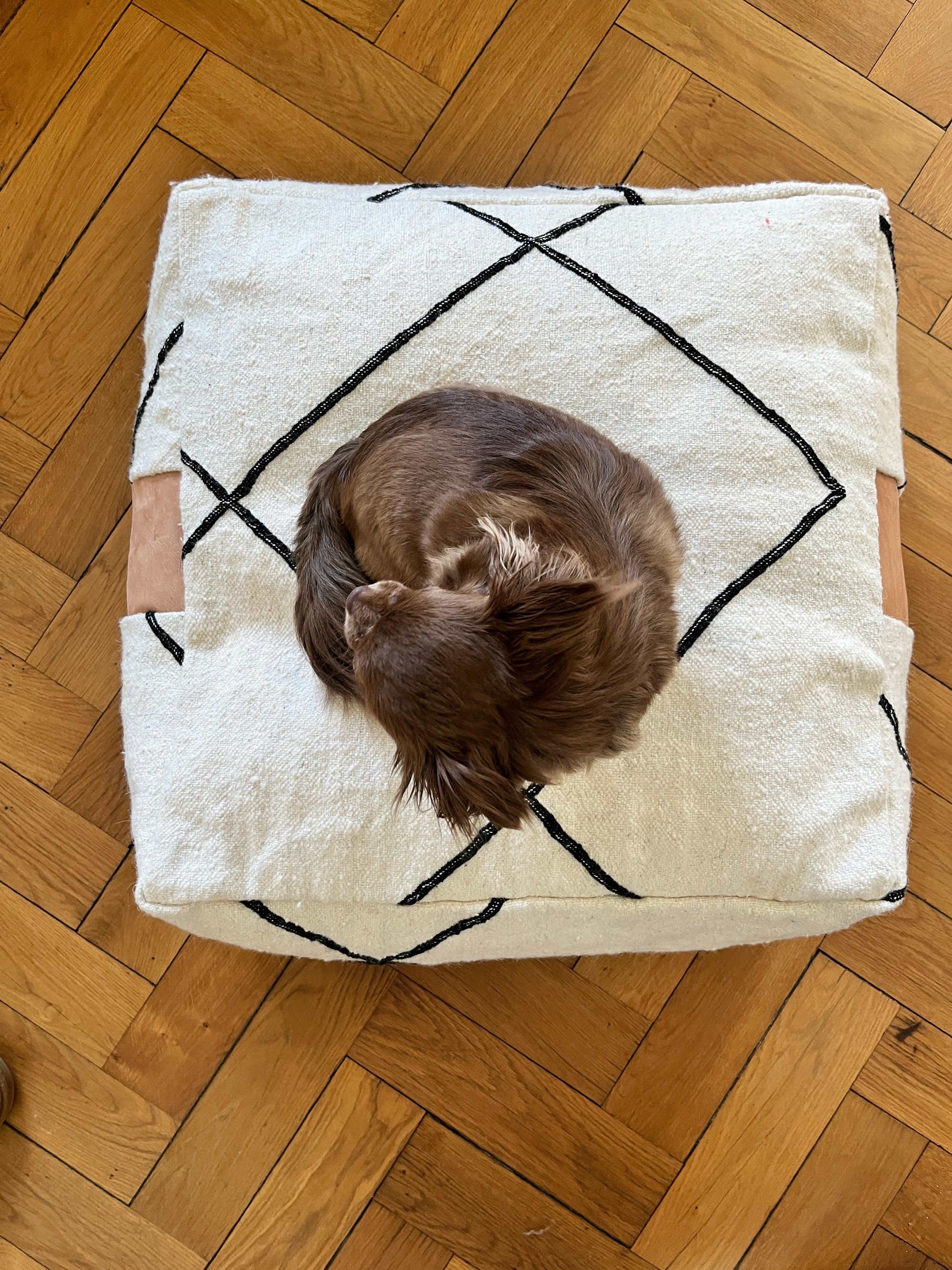 Ein kleiner brauner Hund, zusammengerollt und schlafend auf einem quadratischen, weißen Kissen mit schwarzen geometrischen Linien, das auf einem Holzparkettboden liegt.
