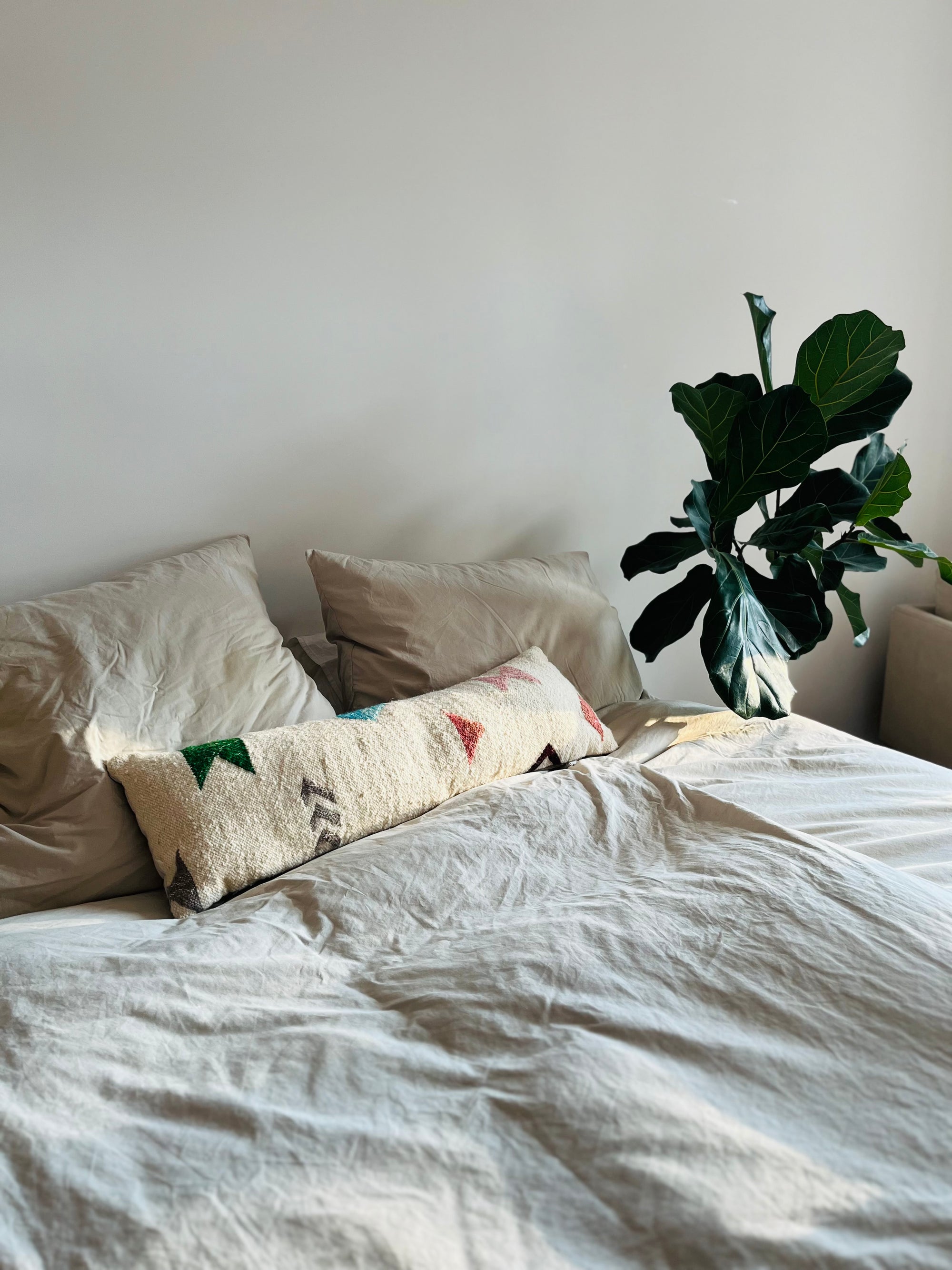 In einem sonnendurchfluteten Zimmer steht ein ordentlich gemachtes Bett mit beiger Bettwäsche, zwei Kissen und einem LEY! Kissen - Colorful Line (35 x 90) von LEY! Eine große grüne Topfpflanze steht neben dem Bett vor einer schlichten hellen Wand.