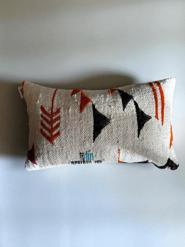 Kissen - Colorful Line - 30 x 50