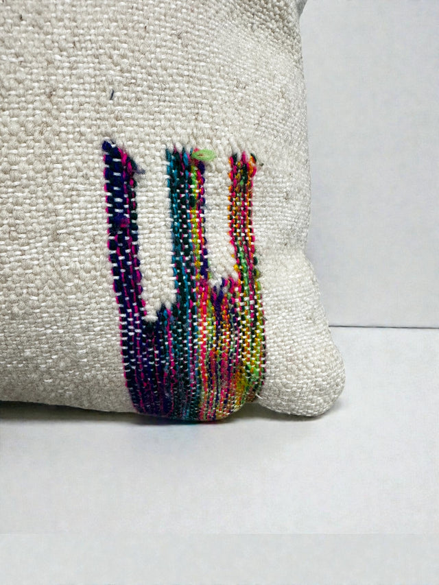 LEY! Kissen - Colorful Line - 30 x 50