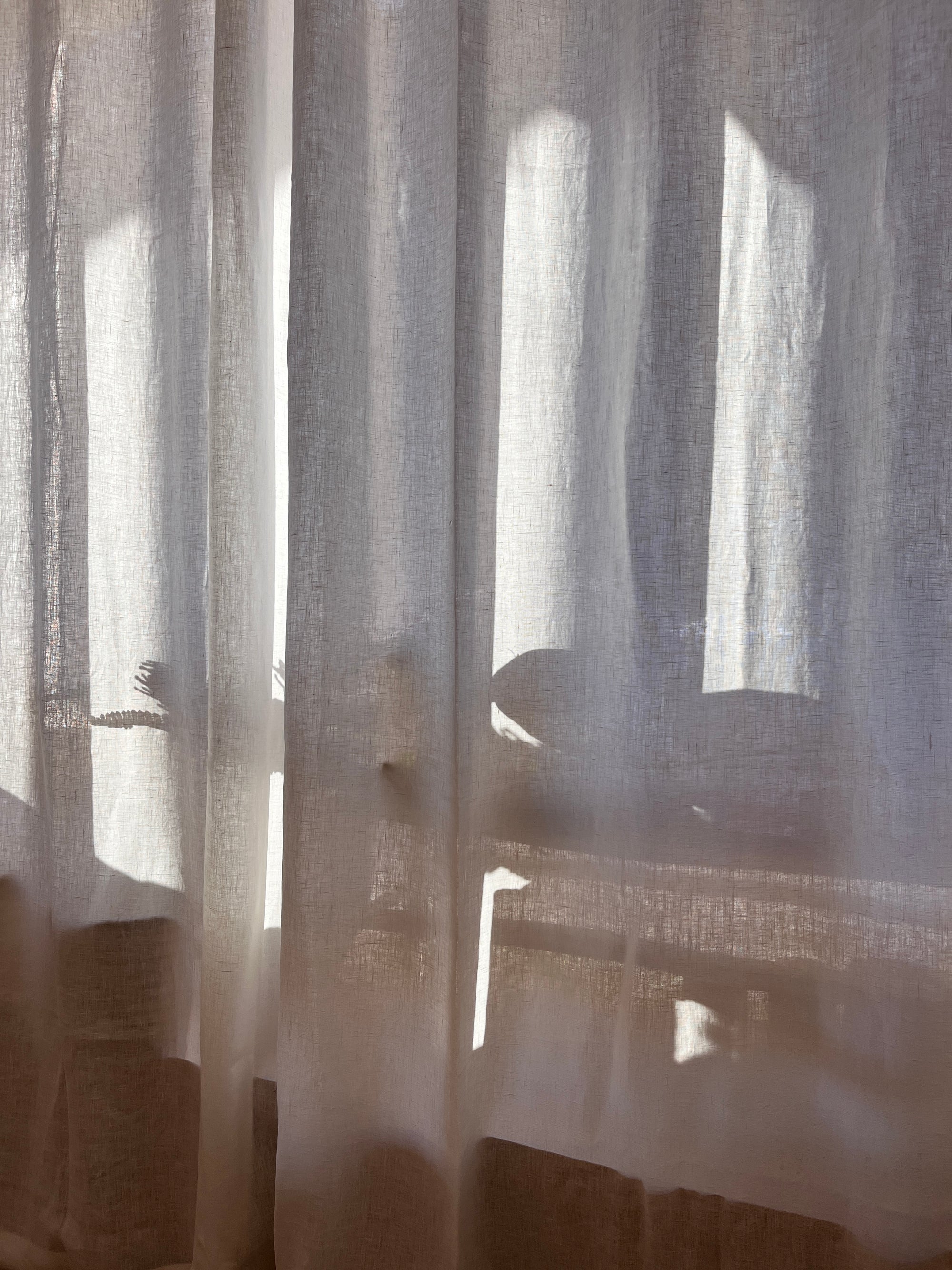 ley produkte im onlineshop finden 